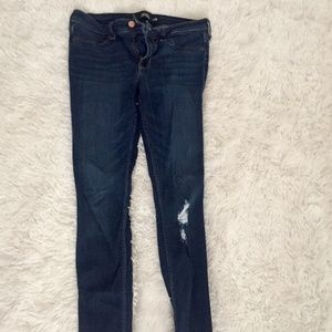 Hollister Jean